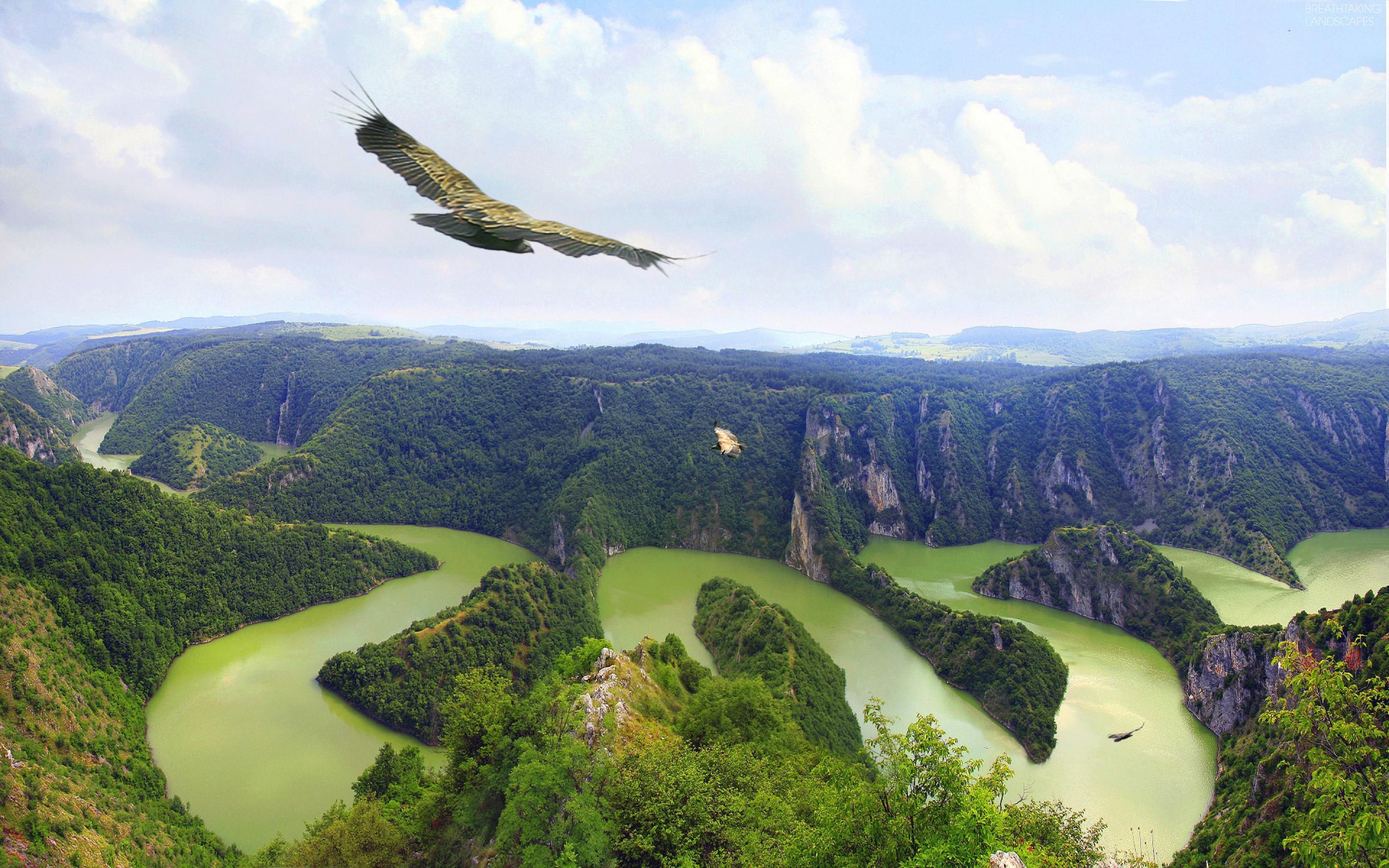 https://breathtakinglandscapes.files.wordpress.com/2013/02/breathtaking-landscapes-07-mountains-forest-river-stream-bends-bird-landscapes-river-uvac-serbia-2.jpg